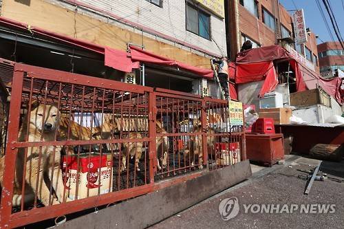 (성남=연합뉴스) 강민지 기자 = 26일 오후 경기 성남시 모란시장에서 모란가축시장상인회 소속 업소 일부가 개 보관 및 도살시설 철거 작업을 하고있다. 전국 최대 개고기 유통시장인 모란시장은 27일부터 개보관 및 도살시설 등 개판매시설 자진정비에 나선다.  2017.2.26      mjkang@yna.co.kr