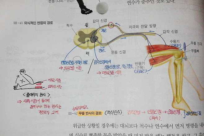 [사진=중앙포토]