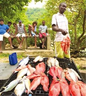 갓 잡은 생선을 파는 어부.