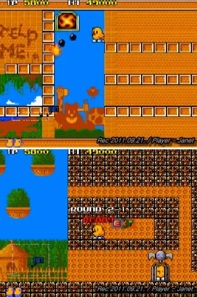 뉴질랜드 스토리