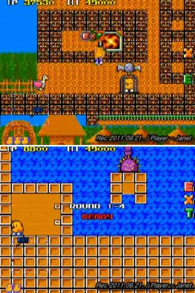 뉴질랜드 스토리