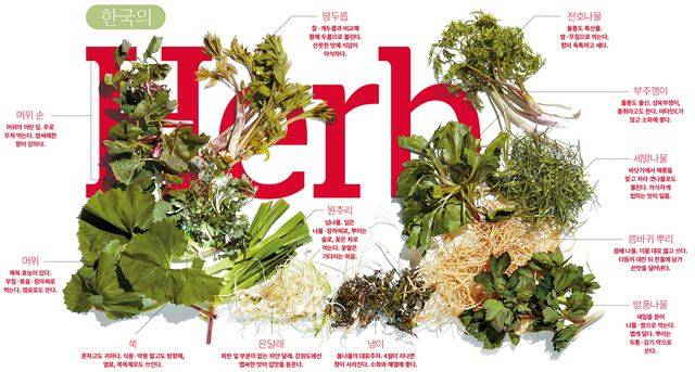 그림 1‘두레유’ 오너셰프 유현수씨가 봄나물로 그린 산과 들.