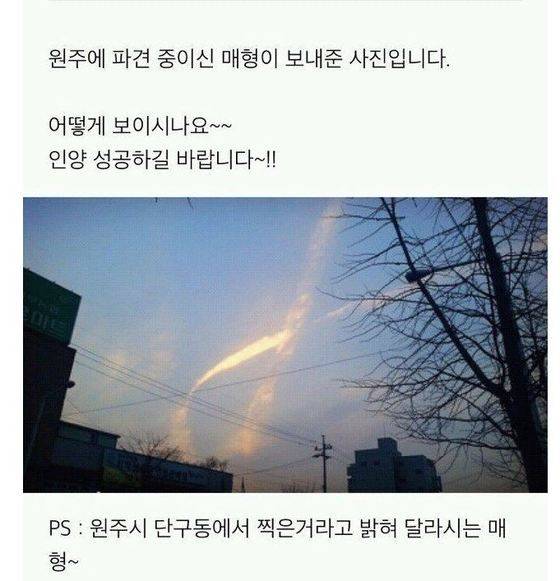 [사진 온라인 커뮤니티 캡처]