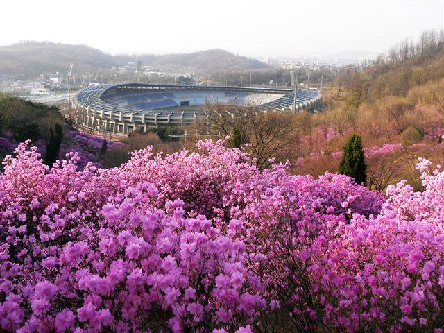 원미산 진달래동산에서 부천종합운동장 쪽으로 내려오는 길에 만나는 분홍빛 장관. 한국관광공사 제공.