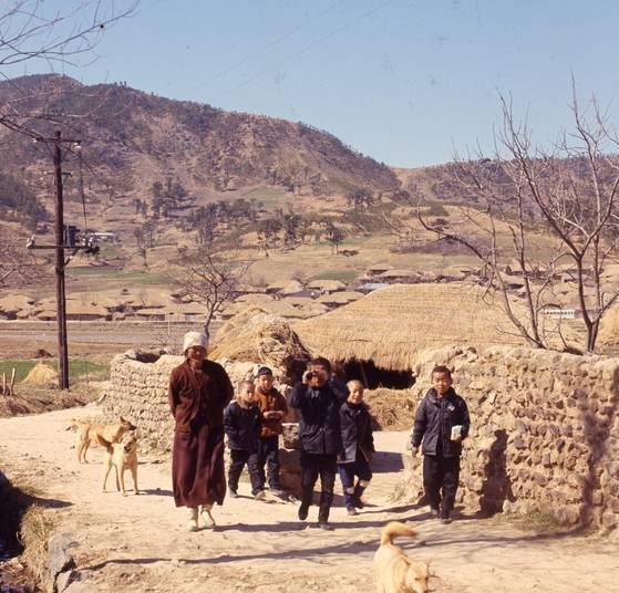 '진도개'로 인정 받기 위해서는 여러 조건을 만족시켜야 한다. [중앙포토]