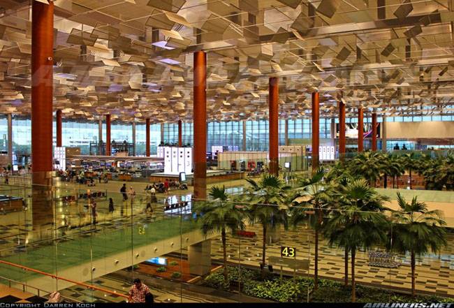 싱가포르 창이 국제 공항의 모습. 야자수 울창한 것 빼면 약간 인천공항이랑 느낌이 비슷하다.