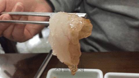 농어 한 점 찍어 먹으면 쫄깃쫄깃한 맛이 산다. 활어보다 훨씬 차지다.