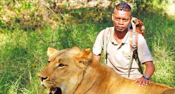 사자와 산책으로 하루를 시작할 수 있는 카젤라 네이처 파크.