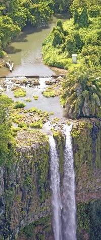 원시림에 둘러싸인 샤마렐 폭포. 모리셔스관광청 제공