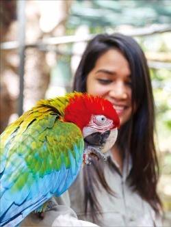 카젤라 파크에서는 다양한 동물과 가까이서 호흡할 수 있다.