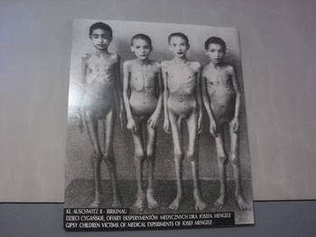 아우슈비츠 내부에 전시된 유대인 아동들 사진.