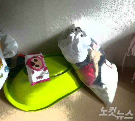 (사진=미혼모 측 제공)