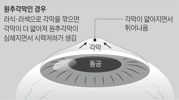 /그래픽=유두호 기자