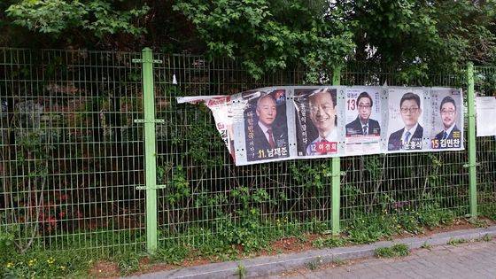 지난 25일 영등포역파출소 앞 펜스에 붙어 있던 벽보를 뜯은 황모씨가 경찰에 구속됐다.[사진 영등포경찰서]