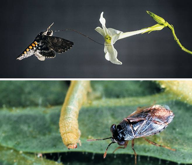 독일 막스플랑크연구소