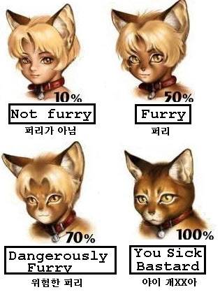 'furry'는 '복실복실한' 정도 뜻으로, 영어권에서 수인을 일컫는 단어다./인터넷 캡쳐