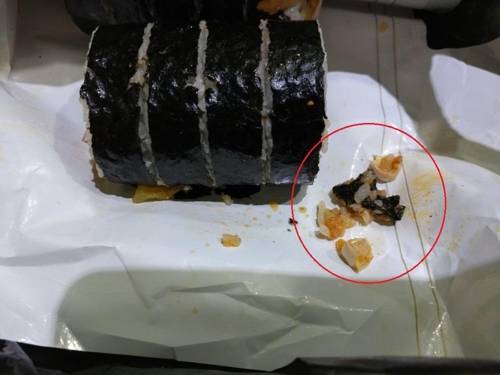 [독자 제공=연합뉴스]