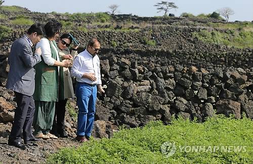 (제주=연합뉴스) 김호천 기자 = 유엔식량농업기구(FAO)의 세계중요농업유산(GIAHS) 등재 업무를 맡은 관계자 2명이 3일 오후 제주시 구좌읍 김녕리를 찾아 돌담 밭을 둘러보고 있다. 2013.6.3.      khc@yna.co.kr