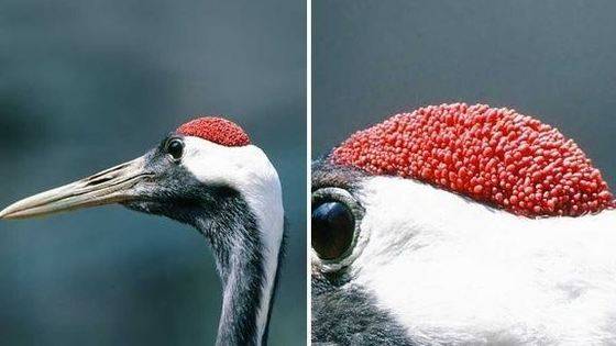 [사진 온라인 커뮤니티]