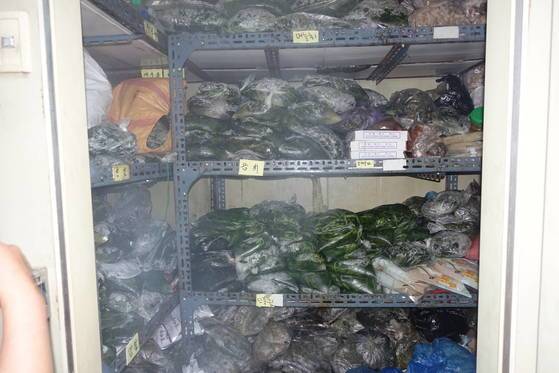 내년 나물이 나올 때까지 쓰려고 삶아서 냉동실에 보관한 산나물들. 며늘취(금낭화)·곰취·눈개승마·단풍취·두릅·개두릅(음나무순)·산갓·강활 등 이름표가 보인다.