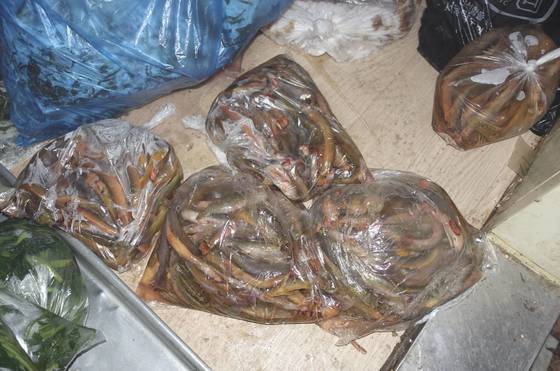 집 바로 뒤로는 내린천 최상류인 계방천이 흐른다. 수량은 풍부하고 물살이 빨라 물고기 살이 야물다. 날마다 통발을 놓아도 퉁가리(산메기)·쉬리·꺽지·버들치·미꾸라지 등이 하루에 이만큼은 잡힌다. 메뉴판에는 매운탕이 없지만 주인에게 말하면 먹을 수도 있다.