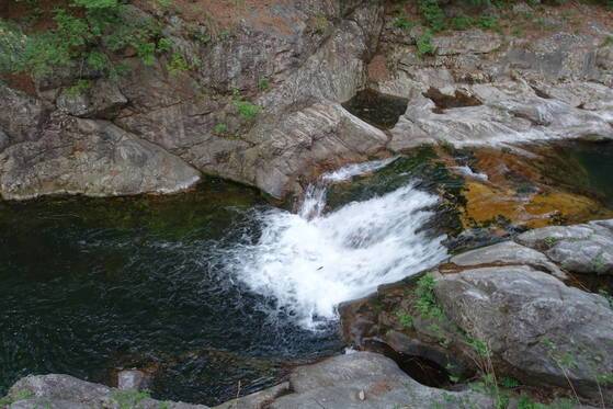 내린천의 발원지인 계방천 을수골 초입에 있는 칡소폭포는 우리나라에서 열목어를 가장 집중적으로 관찰할 수 있는 곳이다. 폭포 물길을 거슬러 상류로 가기 위해 열목어가 1분에 두어 마리 꼴로 끊임없이 도약을 한다. 하얀 물살 위로 한 마리가 뛰어오르고 있다. 10분가량 지켜봤지만 성공한 놈은 보지 못했다. 구룡령 아래로 이 일대는 열목어 보호구역이다.