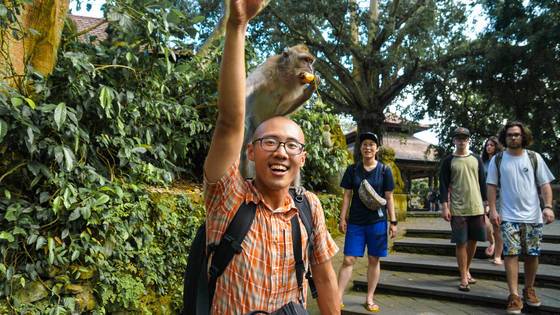 원숭이와 교감하기. 눈을 마주치지 않아야 한다.