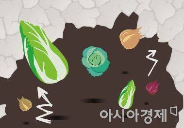 (그래픽=아시아경제 DB)