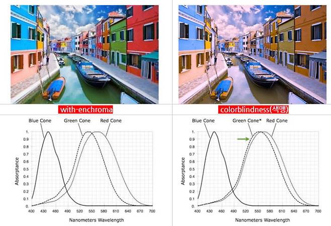 엔크로마의 원리. 색의 파장을 인위적으로 변조해서 원추세포가 분명히 다른 신호로 인식하게 하는 원리다.