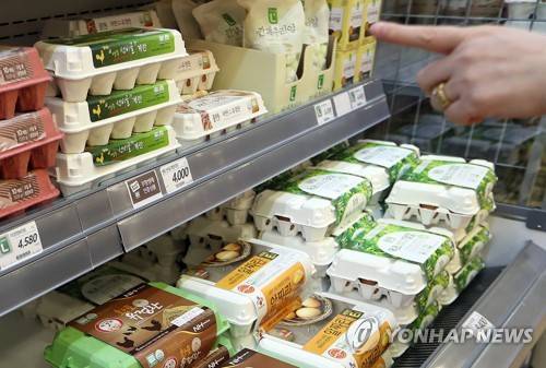 (서울=연합뉴스) 이지은 기자 = 고병원성 조류인플루엔자(AI)가 전국으로 확산할 조짐을 보이면서 계란과 닭고기 가격이 다시 요동치고 있다. 6일 오후 서울시내 대형마트에서 한 고객이 계란을 고르고 있다. 2017.6.6 jieunlee@yna.co.kr