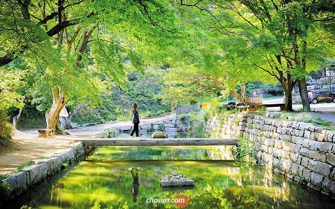 해안선 깊고 물길 많은 충남 북서쪽 땅을 내포(內浦)라 한다. 내포 땅 서산 개심사에는 외나무다리가 있다. 연전에 좁았던 다리 폭을 넓혀 누구나 편하게 건널 수 있게 되었다. 내포 또한 그만큼 열린 땅이다. /박종인 기자