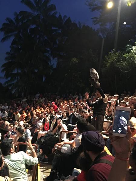 매로 보이는 새의 등장에 사람들이 환호하는 모습.