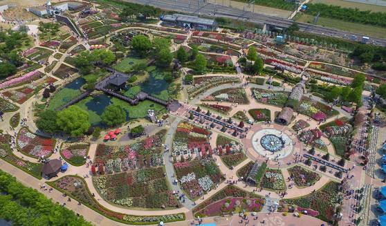 전남 곡성의 섬진강기차마을에 조성된 장미정원 전경. 4만㎡의 정원에서 1004가지 품종의 장미 수천만송이를 감상할 수 있다. 프리랜서 장정필