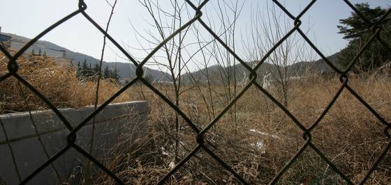 1991년 경북 구미공단의 두산전자에서 가전제품용 회로기판을 만들기 위해 사용하던 페놀 원액이 새어나와 낙동강으로 흘러들어 대구의 수돗물을 오염시킨 ‘페놀 사태’. 20년의 세월이 흘러 지금은 옛 공장의 모습을 찾을 수 없고 잡초만 무성하다. 프리랜서 공정식