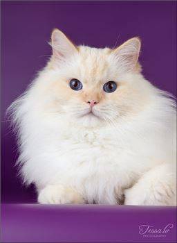 사진=핀터레스트