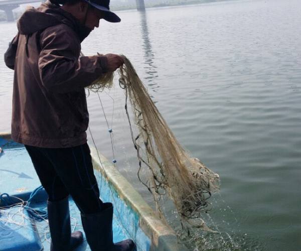 지난 23일 경남 김해시 대동면 앞 낙동강에서 한 어민이 배에서 빈 그물을 끌어올리고 있다. 어민들은 “4대강 사업 이후 물고기 서식 환경이 악화되면서 어획량은 거의 제로 수준”이라고 말했다.