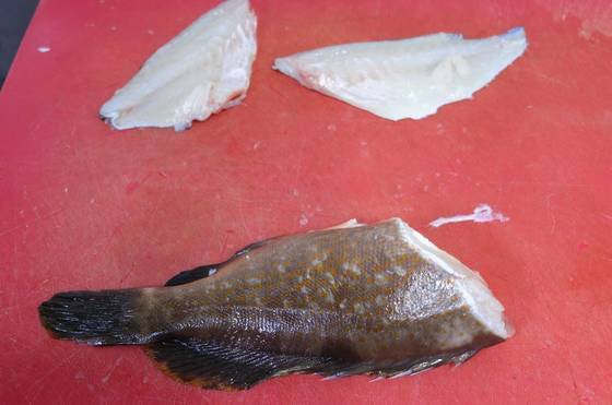 붉바리를 회로 뜨는 과정.