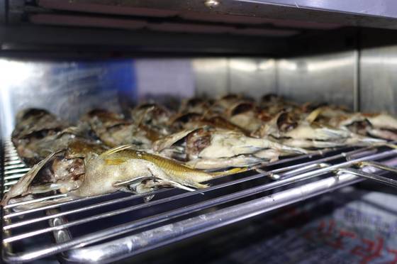 주방 그릴에서 딱돔 여러 마리가 구워지고 있다. 군평선이·금풍생이라는 이름으로 더 잘 알려진 생선이다. 구이로 많이 먹으며 ‘샛서방고기’라는 별칭도 있다.