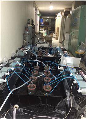 실험실에서 퇴적물 산소 소모량을 측정하는 모습. 퇴적물 시료에 용존산소를 측정하는 장치가 연결돼 있다. [사진 국립환경과학원]