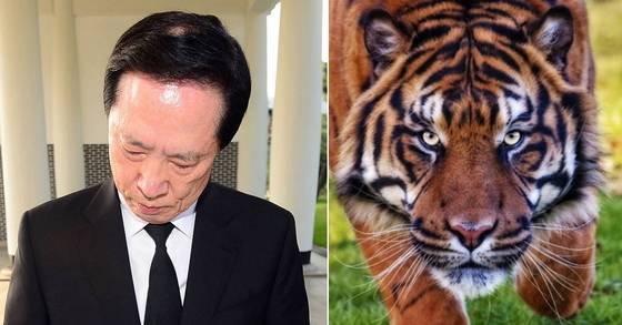 송영무 국방부장관은 야생 호랑이(虎相) 관상이다. [중앙포토]