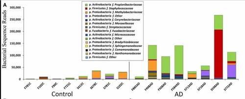 ['노화 신경과학의 선구자들'(FAN)에 실린  영국 브리스톨대학 데이비드 에머리 박사 팀 논문 캡처]