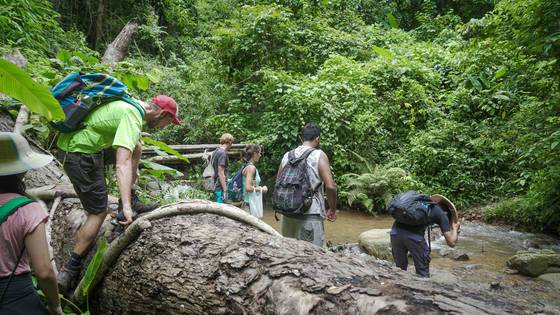울창한 정글을 헤치며 걸어야 하는 히포 트레킹.