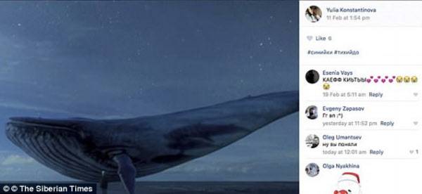 자살 게임 ‘흰 수염고래(Blue Whale)’ 개발자 중 한 명인 필립 부데이킨(22)의 재판은 비공개로 이뤄졌다 / east2west news