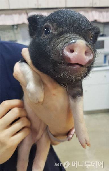 사진은 기사와 직접 관련이 없습니다.