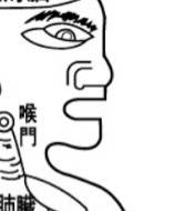 신형장부도 입 부분. [사진 박용환]