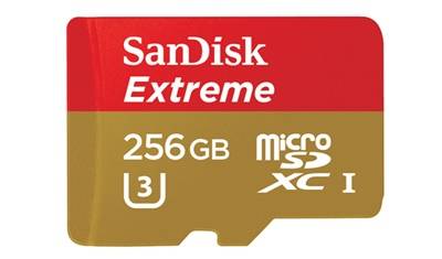 256GB 샌디스크 익스트림 마이크로SDXC