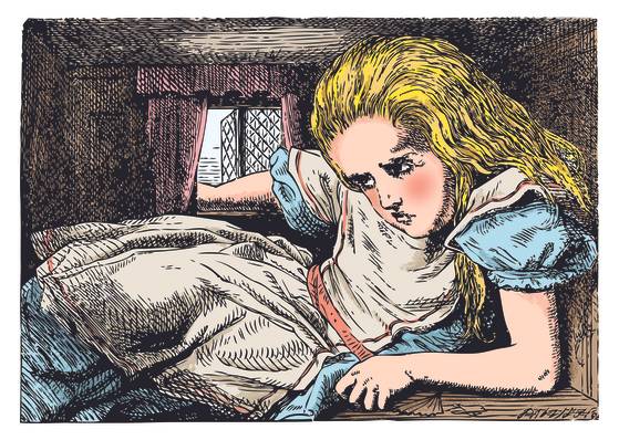 '이상한 나라의 앨리스 추리파일'(보누스) 중에서. Alice in Wonderland. Alice grows huge (or tall) again. ...before she had drunk half the bottle, she found her head pressing against the ceiling, and had to stoop to save her neck from being broken. Alice's Adventures in Wonderland. Illustration from John Tenniel, published in 1865.