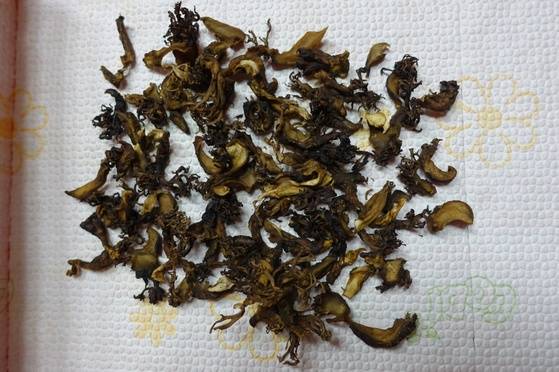 선풍기 바람을 쐬며 3일 3시간쯤 말려 완전 건조된 싸리버섯. 말린 싸리버섯을 다시 불려 요리하면 향이 더 진하다.