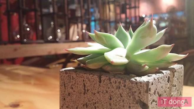 G3로 촬영한 사진