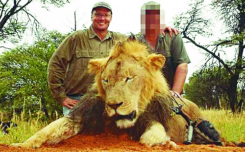 짐바브웨 국민사자 ‘세실’을 사살한 미국인 치과의사 월터 팔머(왼쪽)가 다른 사자를 사냥한 뒤 이를 자랑하기 위해 자신의 소셜네트워크서비스(SNS) 페이스북에 게재한 사진. 월터 팔머 페이스북